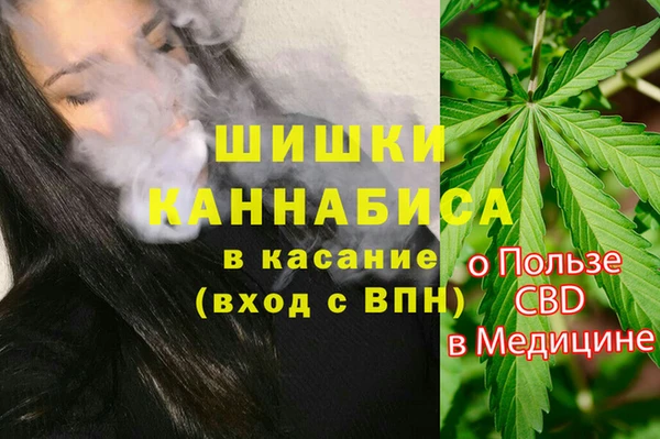 гидра Алексеевка