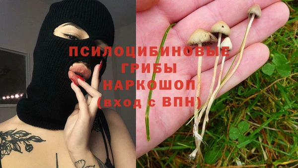 Альфа ПВП Алзамай