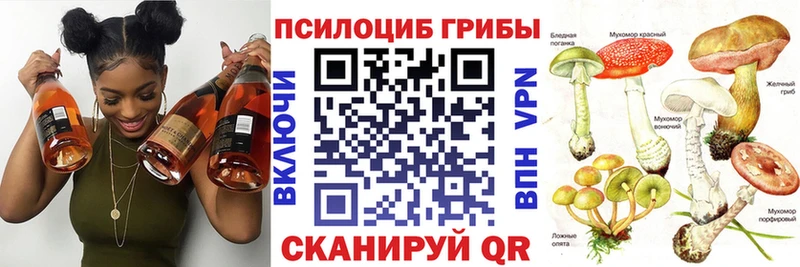 Псилоцибиновые грибы мицелий  купить   hydra вход  Липки 