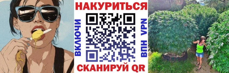 Конопля индика  МЕГА ONION  Липки  купить закладку 
